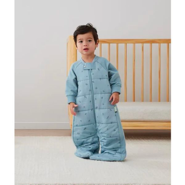 ErgoPouch Sleep Suit Bag Dragonflies 2-4 Y