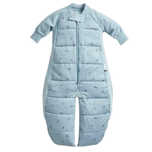 ErgoPouch Sleep Suit Bag Dragonflies 2-4 Y