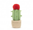 Load image into Gallery viewer, JELLYCAT AMUSEABLE MOON CACTUS
