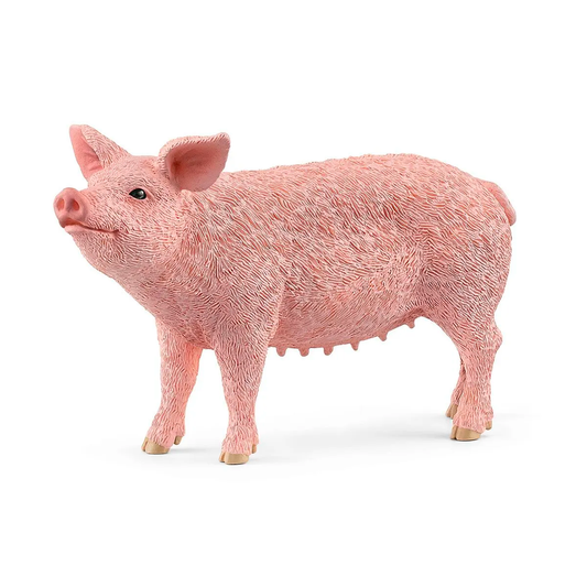 Schleich Pig