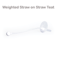 Load image into Gallery viewer, Grosmimi Weighted Straw Kit Twin Packs 6M+
