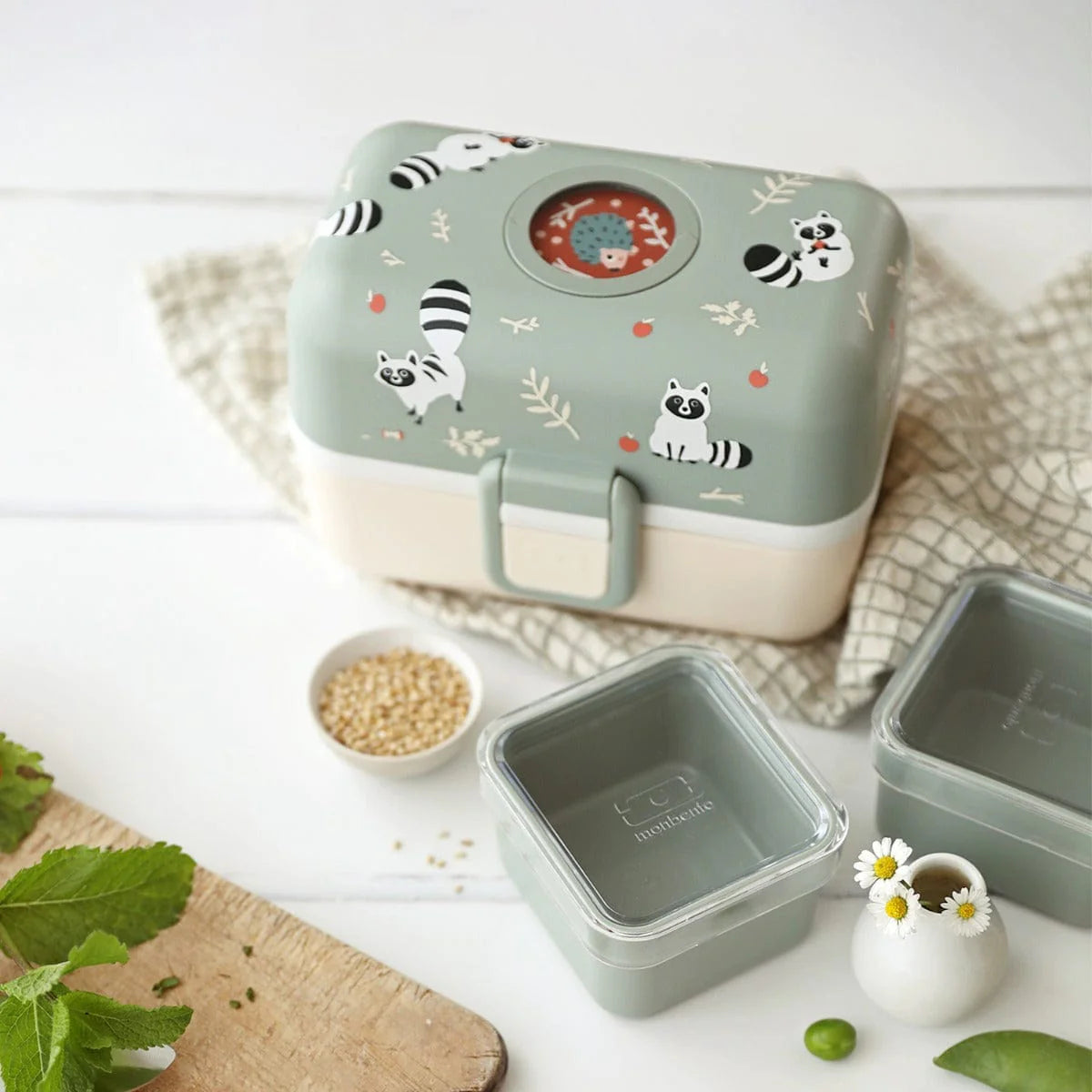 Monbento Tresor Graphic Kids's Bento Box- Green Raccoon