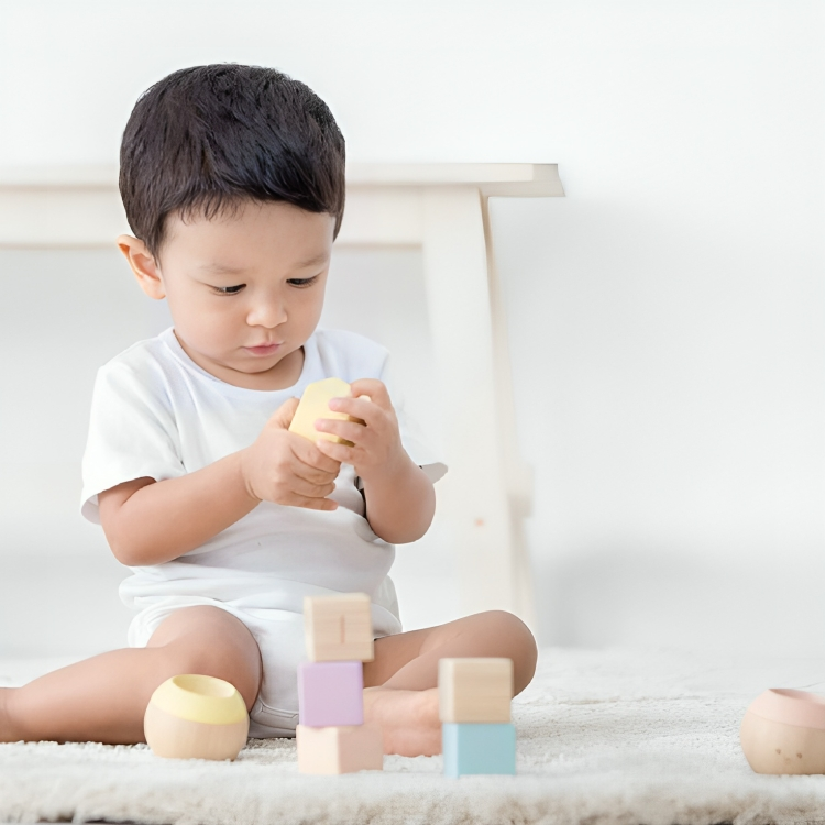 Plan Toys Sensory Blocks